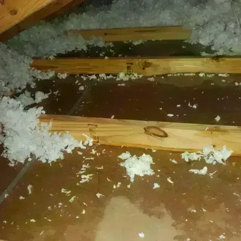 Attic Water Damage in Oakham, MA